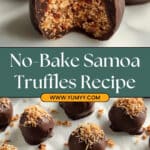 Toasted Coconut Date Truffles Recipe