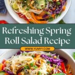 Spring Roll Salad with Spicy Ginger Dressing Recipe