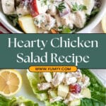 Creamy Chicken & Fruit Salad Recipe
