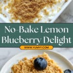 No Bake Lemon Blueberry Dessert Recipe