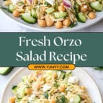 Lemony Orzo Chickpea Salad Recipe
