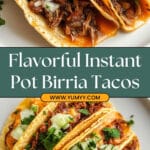Instant Pot Birria Tacos Recipe