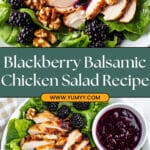 Blackberry Balsamic Chicken Salad Recipe
