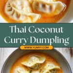 Thai Coconut Curry Dumpling Soup Recipe