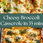 Broccoli Cheese Casserole Recipe