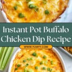 Instant Pot Buffalo Chicken Dip Recipe