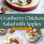 Cranberry Chicken Salad on Apple Slices Recipe