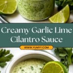 Creamy Garlic Lime Cilantro Sauce Recipe