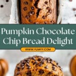 Pumpkin Chocolate Chip Bread Recipe