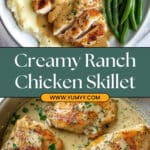 Creamy Ranch Chicken Recipe