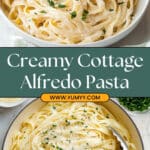 Cottage Cheese Alfredo Pasta Recipe