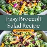 Broccoli Salad Recipe