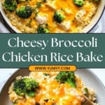 Cheesy Broccoli Chicken and Rice Casserole Recipe