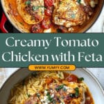 Creamy Tomato Chicken with Feta Recipe