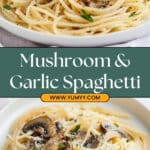 Mushroom and Garlic Spaghetti Recipe