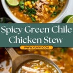 Green Chile Chicken Stew Recipe
