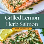 Grilled Salmon with Lemon and Herbs Recipe