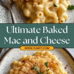 Homemade Baked Mac and Cheese Recipe