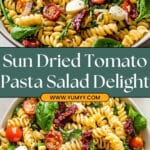 Sun Dried Tomato Pasta Salad Recipe