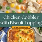 Chicken Cobbler Recipe