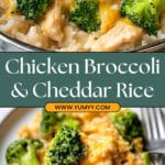 One Pot Chicken Broccoli and Rice Recipe