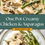 One Pot Creamy Chicken and Asparagus Recipe