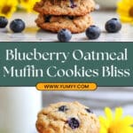 Blueberry Oatmeal Muffin Cookies Recipe