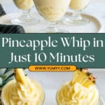 Homemade Dole Pineapple Whip Recipe