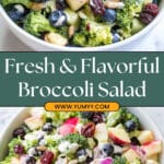 Healthy Broccoli Salad Recipe