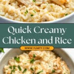 Creamy Chicken And Rice Recipe