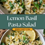 Lemon Basil Parmesan Pasta Salad Recipe