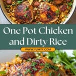 One Pot Chicken and Dirty Rice Recipe