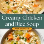 Creamy Chicken and Rice Soup Recipe