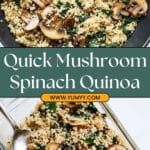 Mushroom Spinach Quinoa Recipe