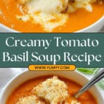 Creamy Tomato Soup Recipe